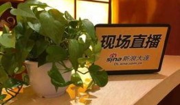 大连地产爆料事件最新情况,最新进展揭秘，真相浮出水面